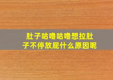 肚子咕噜咕噜想拉肚子不停放屁什么原因呢