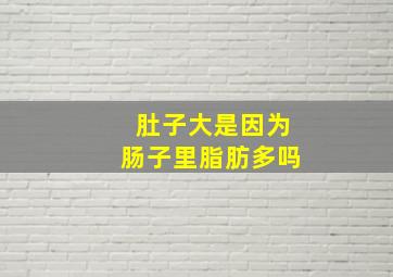 肚子大是因为肠子里脂肪多吗