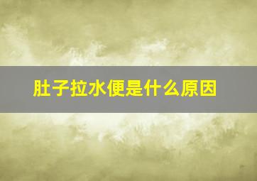 肚子拉水便是什么原因