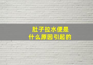 肚子拉水便是什么原因引起的