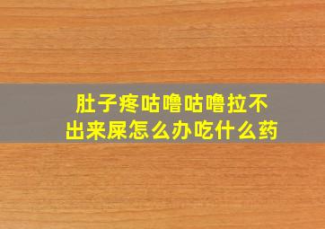 肚子疼咕噜咕噜拉不出来屎怎么办吃什么药