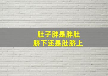 肚子胖是胖肚脐下还是肚脐上