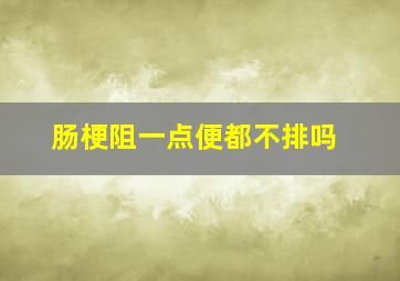 肠梗阻一点便都不排吗