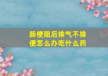 肠梗阻后排气不排便怎么办吃什么药