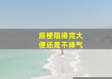 肠梗阻排完大便还是不排气