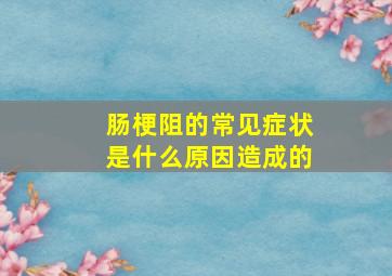 肠梗阻的常见症状是什么原因造成的