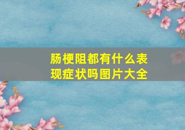 肠梗阻都有什么表现症状吗图片大全