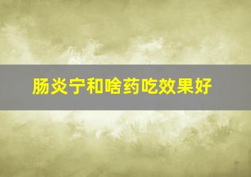 肠炎宁和啥药吃效果好