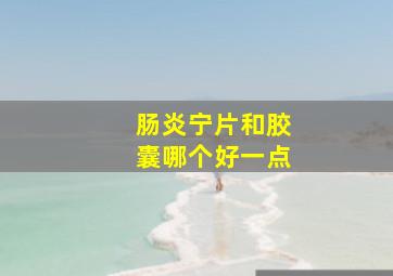 肠炎宁片和胶囊哪个好一点