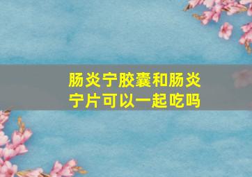 肠炎宁胶囊和肠炎宁片可以一起吃吗