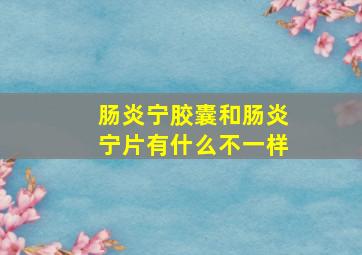 肠炎宁胶囊和肠炎宁片有什么不一样