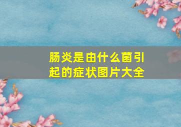 肠炎是由什么菌引起的症状图片大全