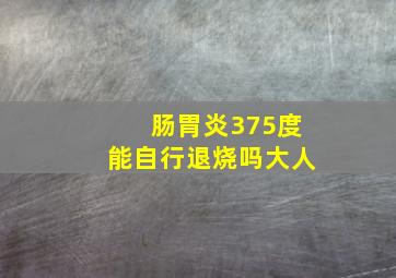 肠胃炎375度能自行退烧吗大人