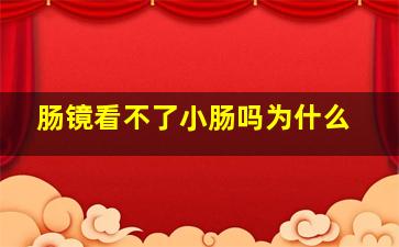 肠镜看不了小肠吗为什么