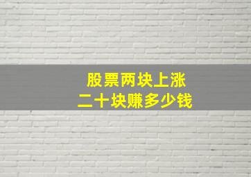 股票两块上涨二十块赚多少钱