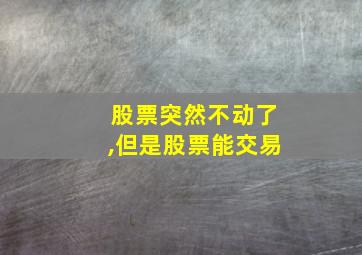 股票突然不动了,但是股票能交易