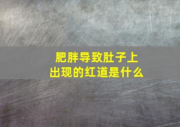 肥胖导致肚子上出现的红道是什么