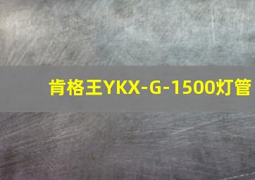 肯格王YKX-G-1500灯管