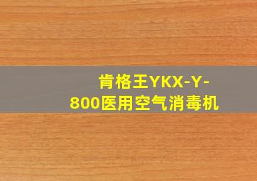 肯格王YKX-Y-800医用空气消毒机