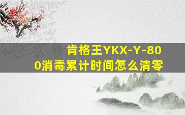 肯格王YKX-Y-800消毒累计时间怎么清零