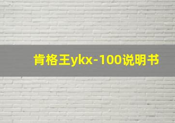 肯格王ykx-100说明书