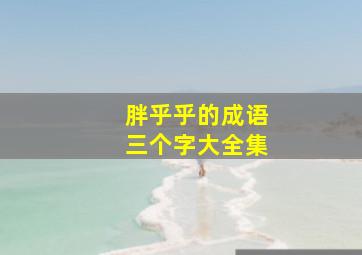 胖乎乎的成语三个字大全集