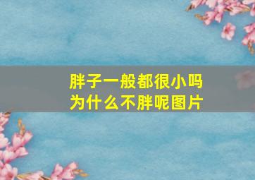 胖子一般都很小吗为什么不胖呢图片