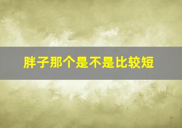 胖子那个是不是比较短