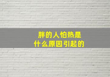 胖的人怕热是什么原因引起的