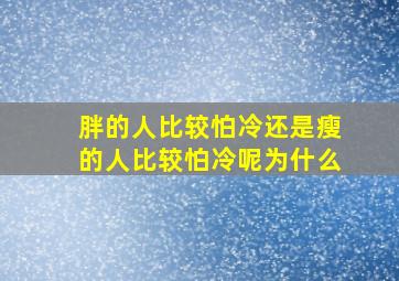 胖的人比较怕冷还是瘦的人比较怕冷呢为什么