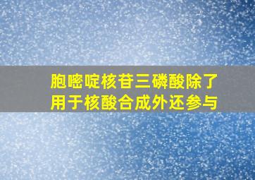 胞嘧啶核苷三磷酸除了用于核酸合成外还参与