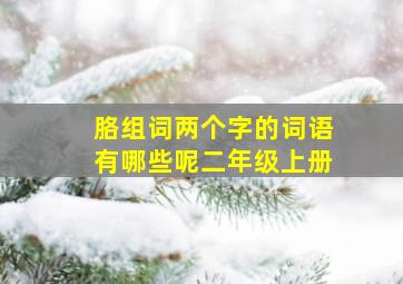 胳组词两个字的词语有哪些呢二年级上册