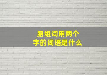 胳组词用两个字的词语是什么