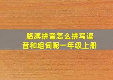 胳膊拼音怎么拼写读音和组词呢一年级上册