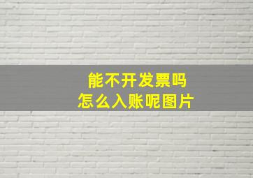 能不开发票吗怎么入账呢图片