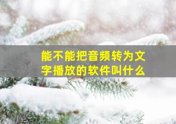 能不能把音频转为文字播放的软件叫什么