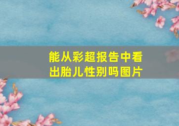 能从彩超报告中看出胎儿性别吗图片