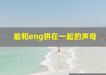 能和eng拼在一起的声母