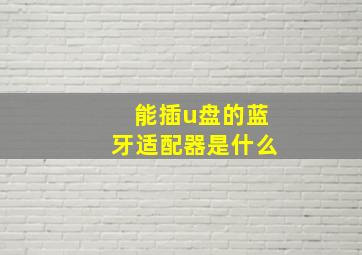 能插u盘的蓝牙适配器是什么