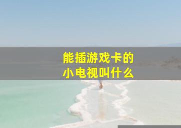 能插游戏卡的小电视叫什么