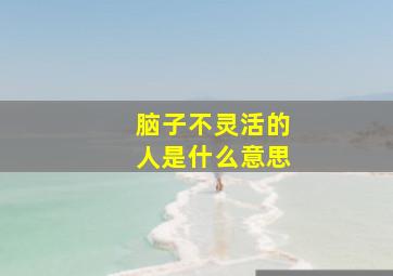 脑子不灵活的人是什么意思