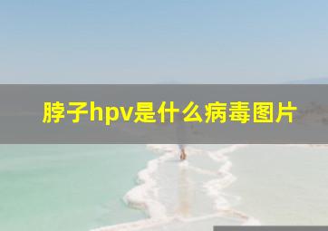 脖子hpv是什么病毒图片