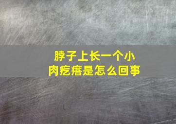 脖子上长一个小肉疙瘩是怎么回事