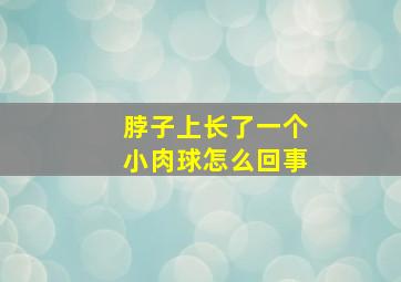 脖子上长了一个小肉球怎么回事