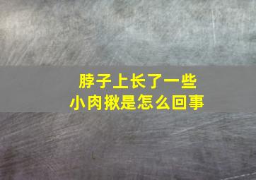 脖子上长了一些小肉揪是怎么回事