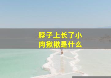 脖子上长了小肉揪揪是什么