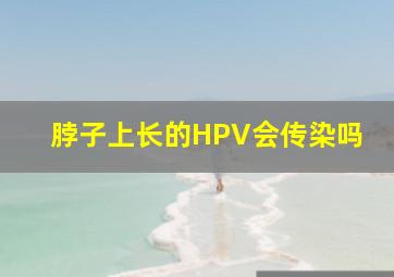 脖子上长的HPV会传染吗