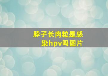 脖子长肉粒是感染hpv吗图片