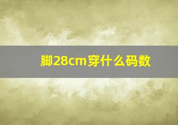 脚28cm穿什么码数