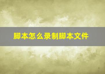 脚本怎么录制脚本文件